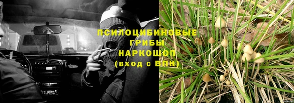 каннабис Алзамай