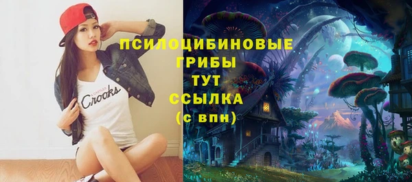 каннабис Алзамай