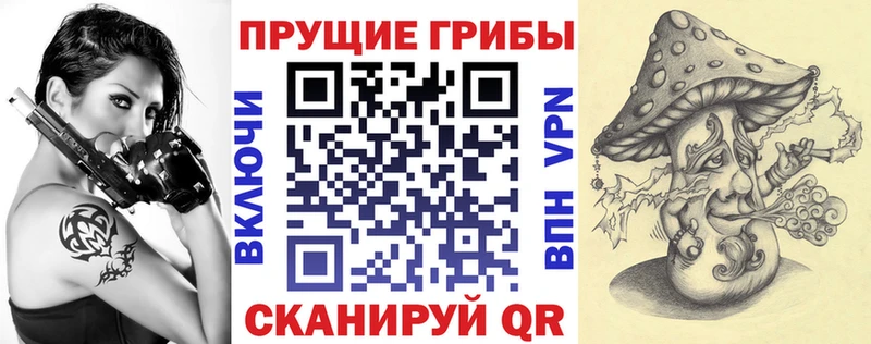 мориарти состав  Калининск  Галлюциногенные грибы Cubensis 